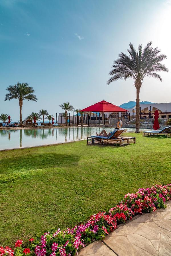 Retac Qunay Dahab Resort & Spa Kültér fotó The pool at the resort